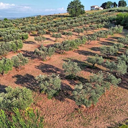 Agriturismo Incanto Della Natura Cannara Dış mekan fotoğraf